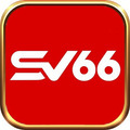 @sv66global