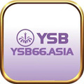 @ysb66asia