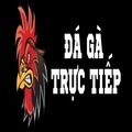 @dagatructiep88tv