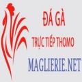 @dagamaglierie