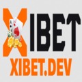 @xibetdev