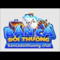 @bancadoithuongchat