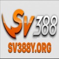 @sv388yorg