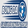 @cacuocbongda1org