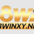 @98winxynet