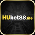 @hubet88life