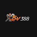 @sv388blue1