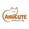 @anhcuteorg