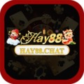 @hay88chat