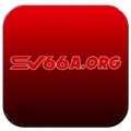 @sv66aorg