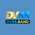 @dv88band