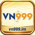 @vn999im