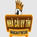 @nhacaiuytin7live