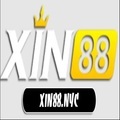 @xin88nyc