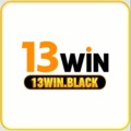@13winblack