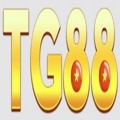 @tg88iorg