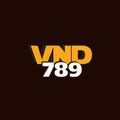 @vnd789games