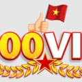 @100vipinfo