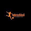 @bongdasoteam