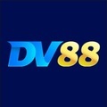 @dv88name