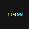 @tim88aorg