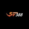 @sv3886org