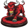 Best Mechanical Bull Rental DFW
