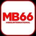 @mb66international