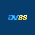 @dv88betorg