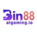 @bin88algoming