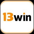@13winguru