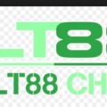 @lt88chat
