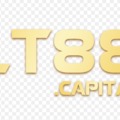 @lt88capital