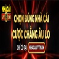 @huongdancacuocvn