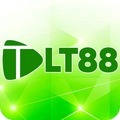 @lt88art