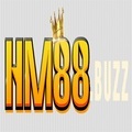 @hm88buzz