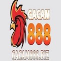 @gacam888biz