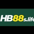 @hb88slife