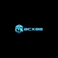 @bcx88dev