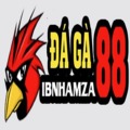 @daga88Ibnhamza