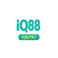 @iq88pro