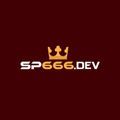 @sp666dev