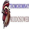 @thomohomnayruido
