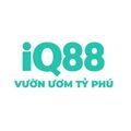 @iq88city