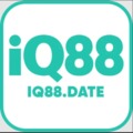 @iq88date