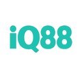 @iq888cc