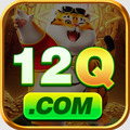 @12qvipcombr