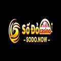 @sodonow1