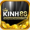 @kinh88vn