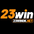 @23winoknet
